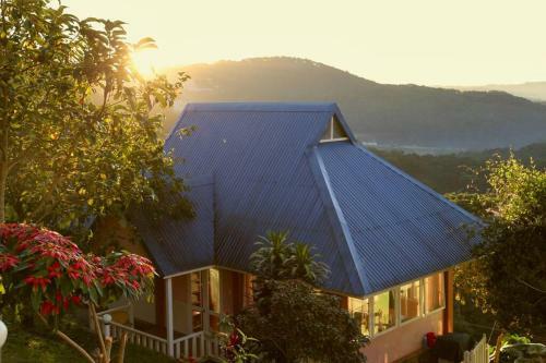 The Fuji Villa (Yellow Villa)