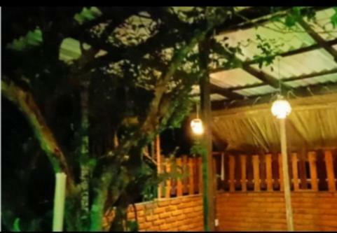 Bed & Breakfast Hiri Moon Villa