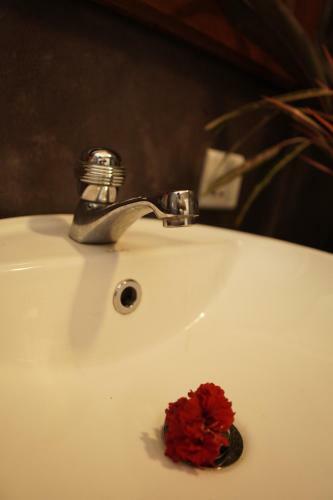 Hotel Surf Nest Hiriketiya