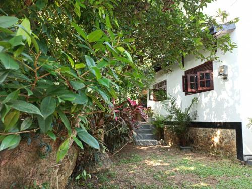 Hostal Eco Garden Hiriketiya