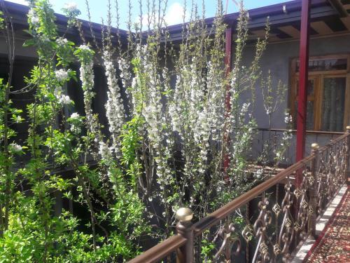 Bed & Breakfast Hotel-129