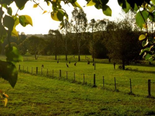 Bed & Breakfast Silverpoint Accommodation