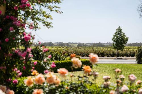 Barossa House Bed & Breakfast