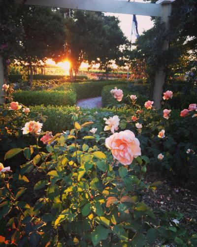Barossa House Bed & Breakfast
