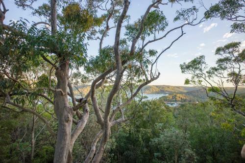 Albergue Sydney, Pittwater Yha
