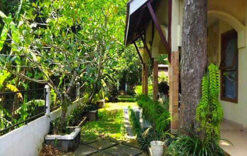 Villa Kania Parangtritis