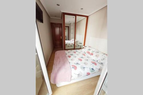 Apartamento Piso C�ntrico Con Terraza.