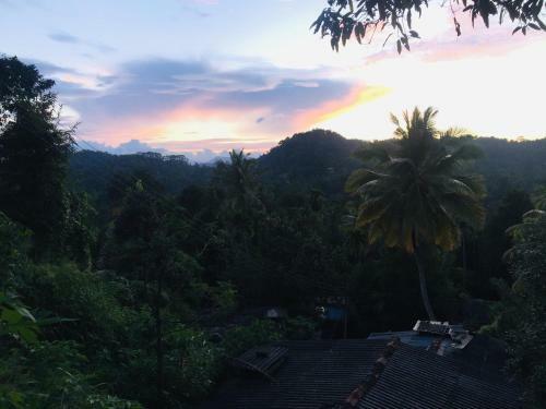 Hostal New Toropi Homestay