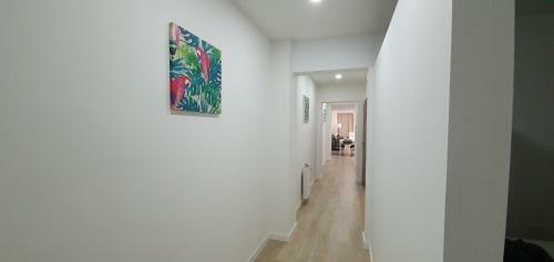 Imeda Apartamentos Recogidas