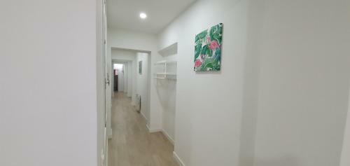 Imeda Apartamentos Recogidas