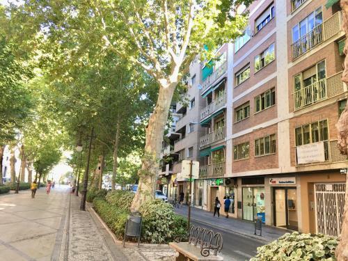 Apartamento Carrera Home