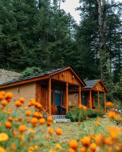 Forest Escape Cottages