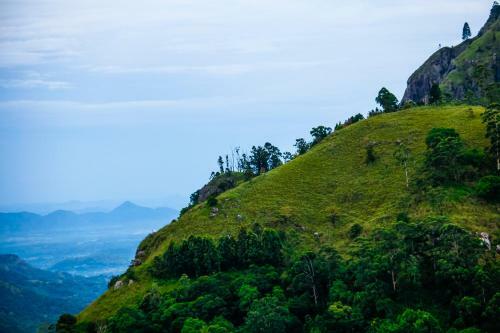 Owinhill Homestay