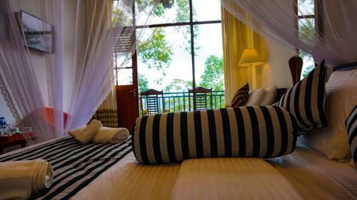 Hostal Shining Green View