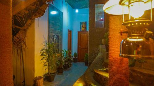 Hostal Shining Green View