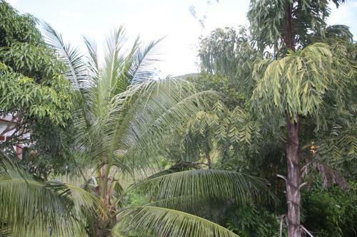 Hostal Super Spot Guest House