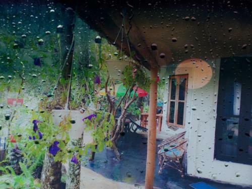 Hostal Ella Walkers Nest