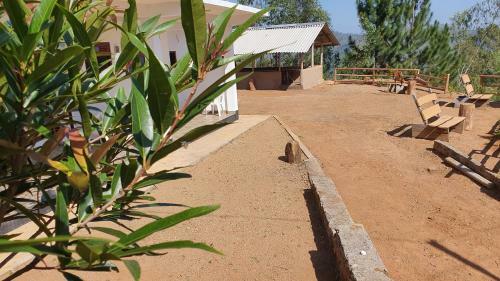 Bed & Breakfast Villa Nature Hights