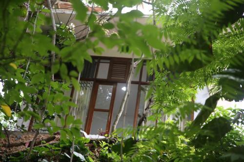 Hotel Pepper Garden Resort