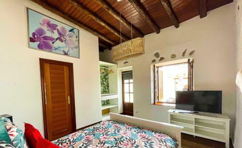 Eco Reyna House