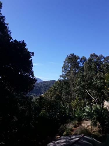 Nipula Homestay