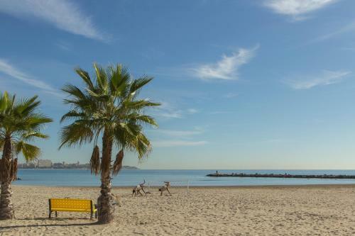 Bed & Breakfast Casa de La Pi�a