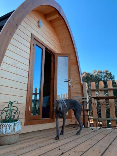 Cork Valley Toledo Pod House 5