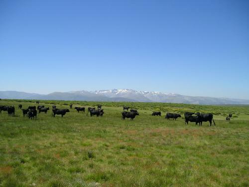Agroturismo El Rondillo de Gredos