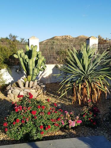 Bed & Breakfast Cortijo Esperanza