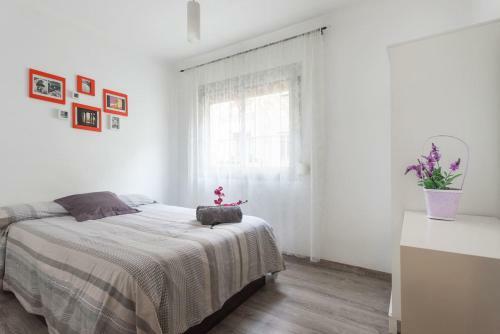 Beautiful Apartment Well Located