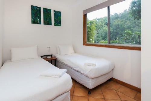 Lodge Mt Warning Forest Hideaway