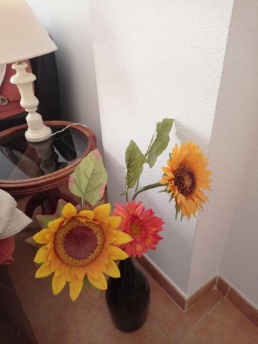 Apartamento Piso Isla Cristina
