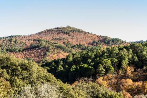 Pozuelo 2 Jabugo