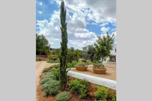 Villa Charming Countryside House In Ibiza