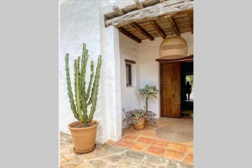 Villa Charming Countryside House In Ibiza