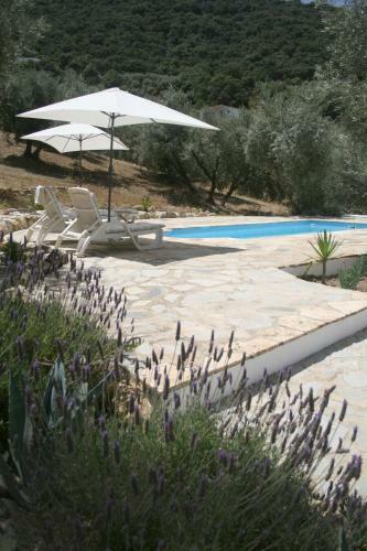 Hostal La Pluma