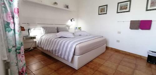 Los Geranios N.25