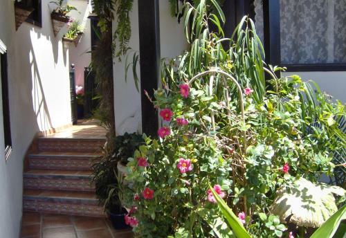 Apartamento Aptos Monasterio de San Antonio 7
