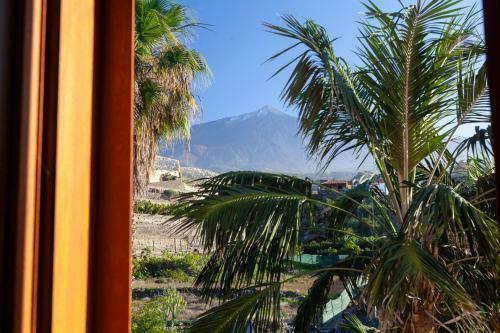 Apartamento Finca La Punta