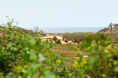 Apartamento Finca La Punta