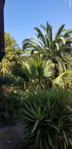 Apartamento La Casita de La Vega