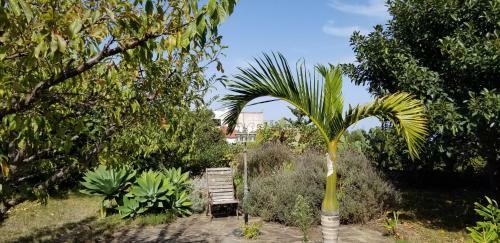Apartamento La Casita de La Vega