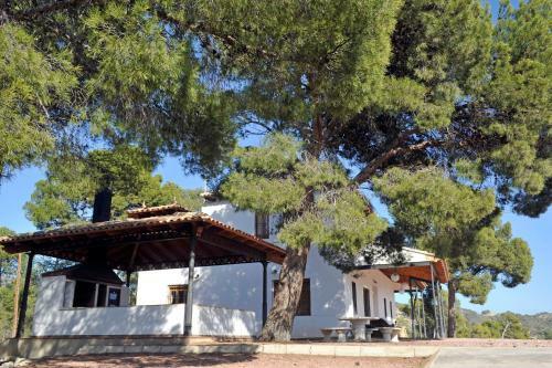 Finca Bonaire Alicante
