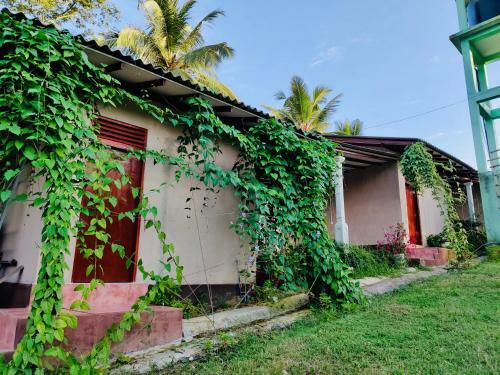 One Villa