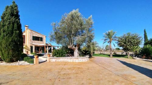 Villa S'alfabia