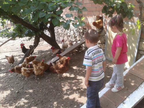 Agroturismo Can Gual