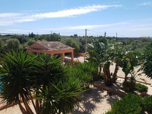 Villa Ca�n Roser