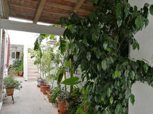 Casa Carmeleni - Ole Solutions