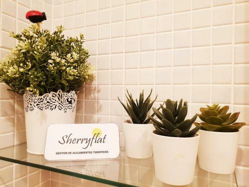 Apartamento Sherryflat La Estaci�n - Parking