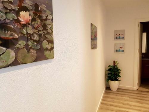 Apartamento Con Garaje En Centro Hist�rico!!